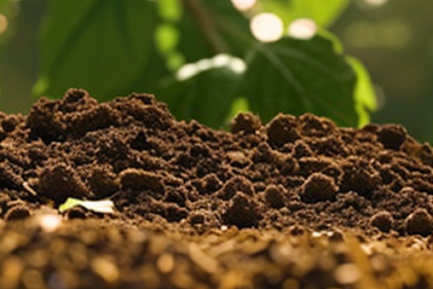 Philadelphia soil project signals largely positive findings for urban