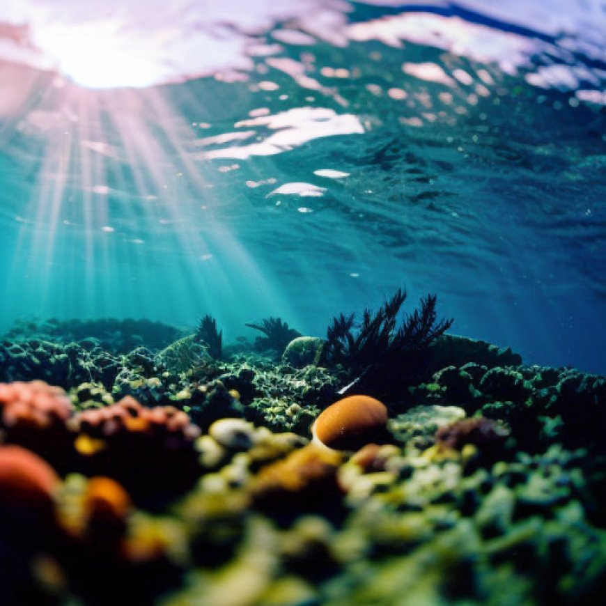Rising saltwater is threatening marine ecosystems – Jacksonville Today