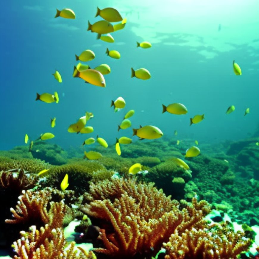 In Florida, endangered coral finds a way to blossom: Best conditions for elkhorn coral found in Dry Tortugas