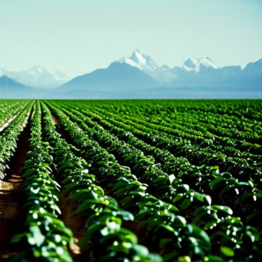 Desafíos y oportunidades: Chile hacia una agricultura sustentable y 4.0