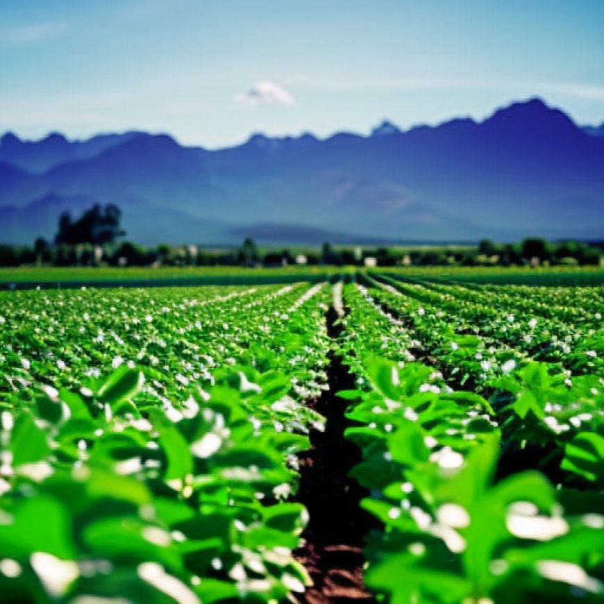 El apoyo de la PAC es crucial para mantener la agricultura en zonas con limitaciones naturales, según el último estudio – Agronews