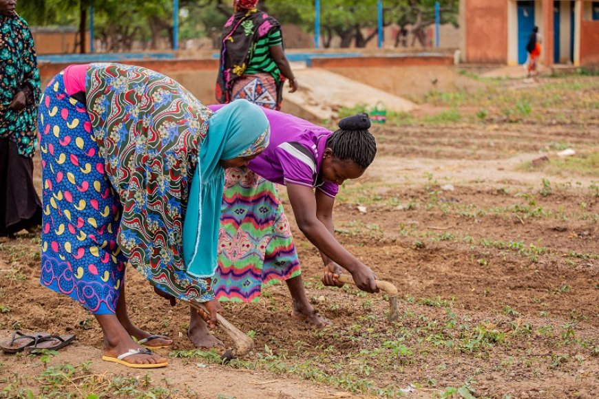 Matrimonio infantil y violencia sexual: los peligros que enfrentan las niñas del Sahel