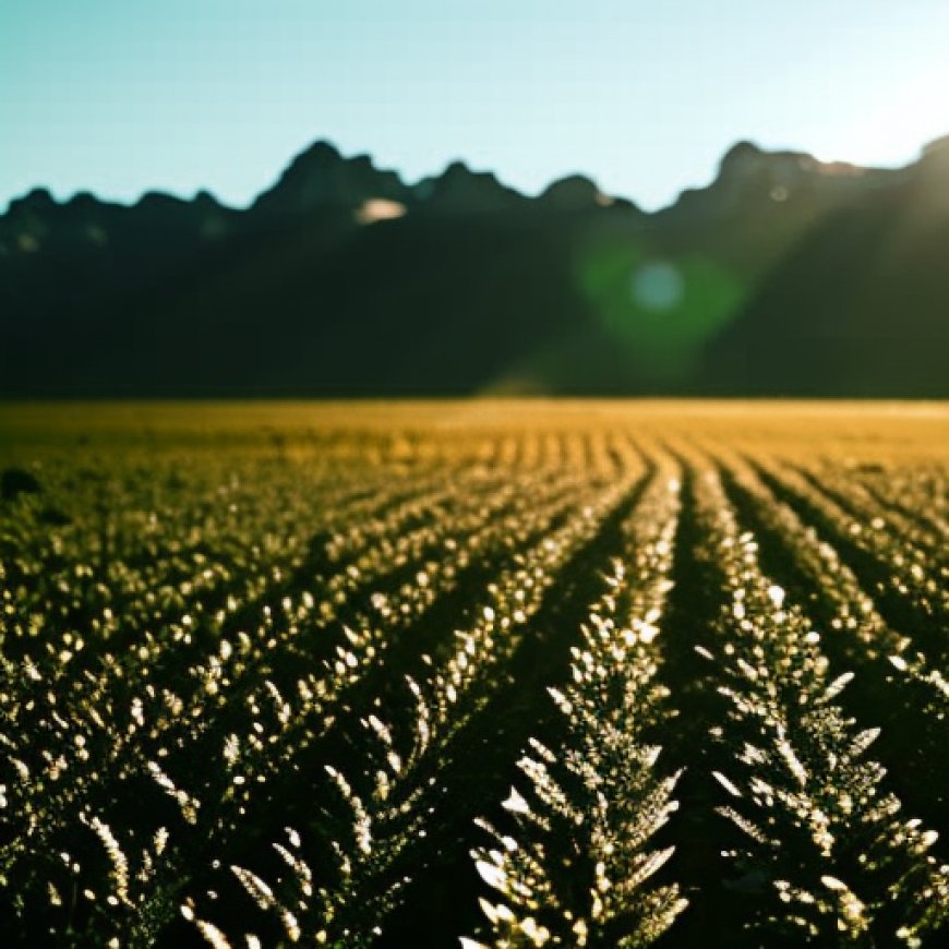 El IICA presenta una iniciativa para enfrentar al crisis hídrica en la agricultura