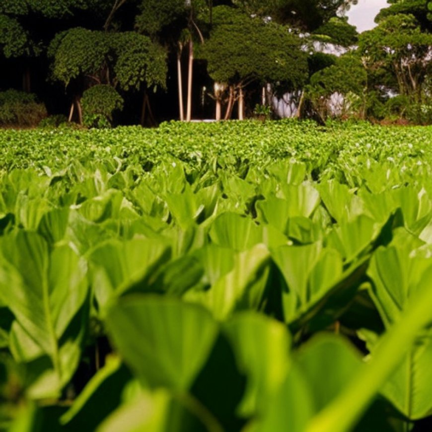 Diputados llaman a hacer una revolución agrícola en campos de Cuba