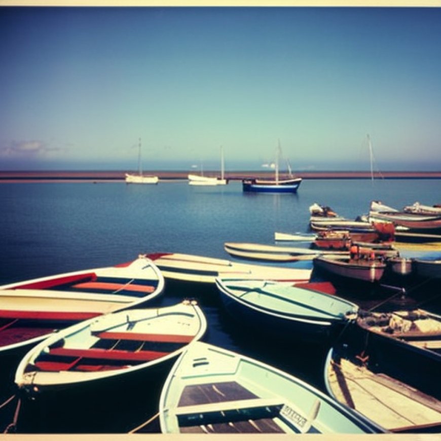 Los barcos chinos incrementaron 800% su pesca en el límite del Mar Argentino en la última década