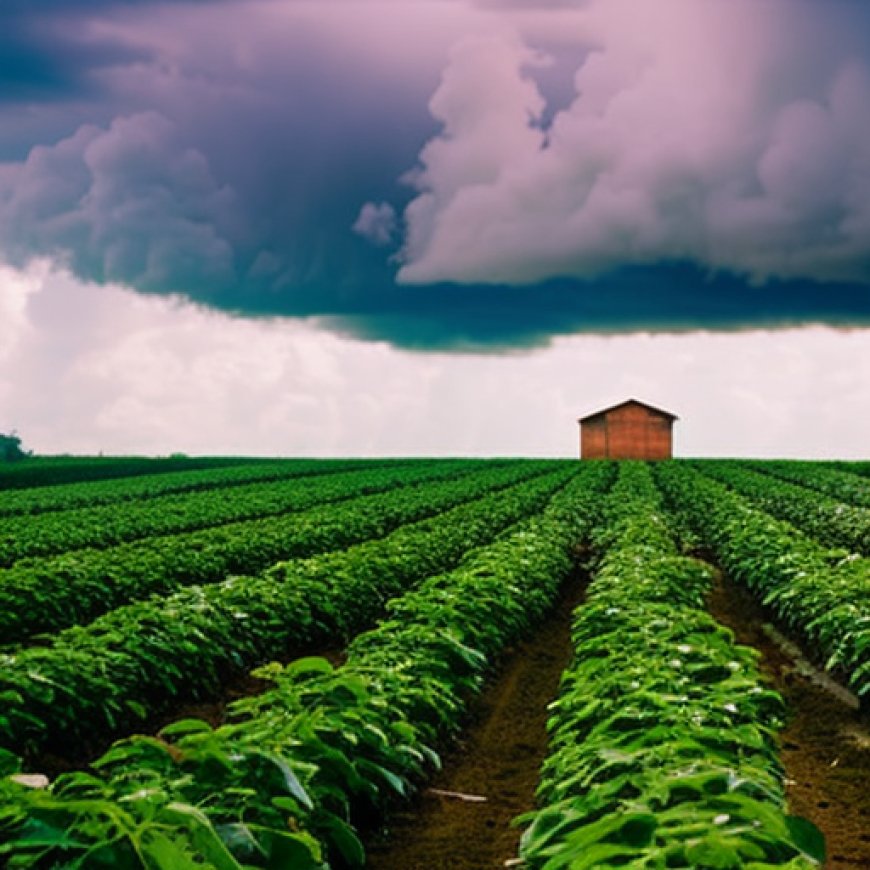 Fuertes vientos afectaron el 70% de la producción agrícola en Córdoba (Quindío)