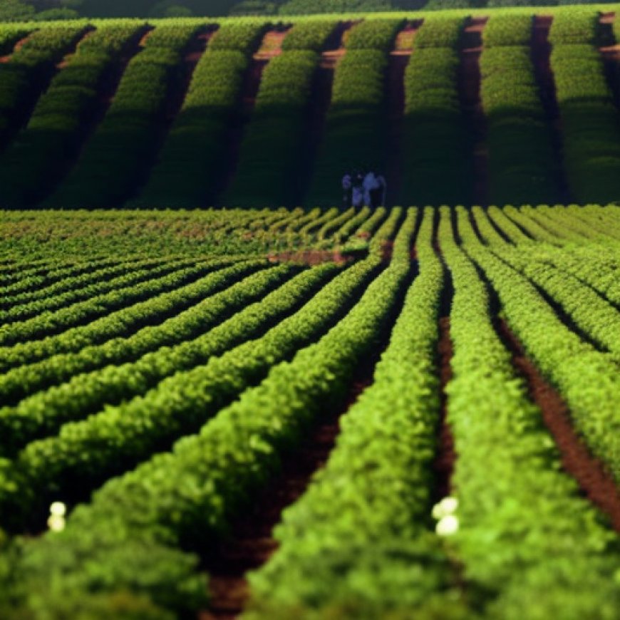 Bitter Harvest: The Dirty Little Secret of Strawberry Fields