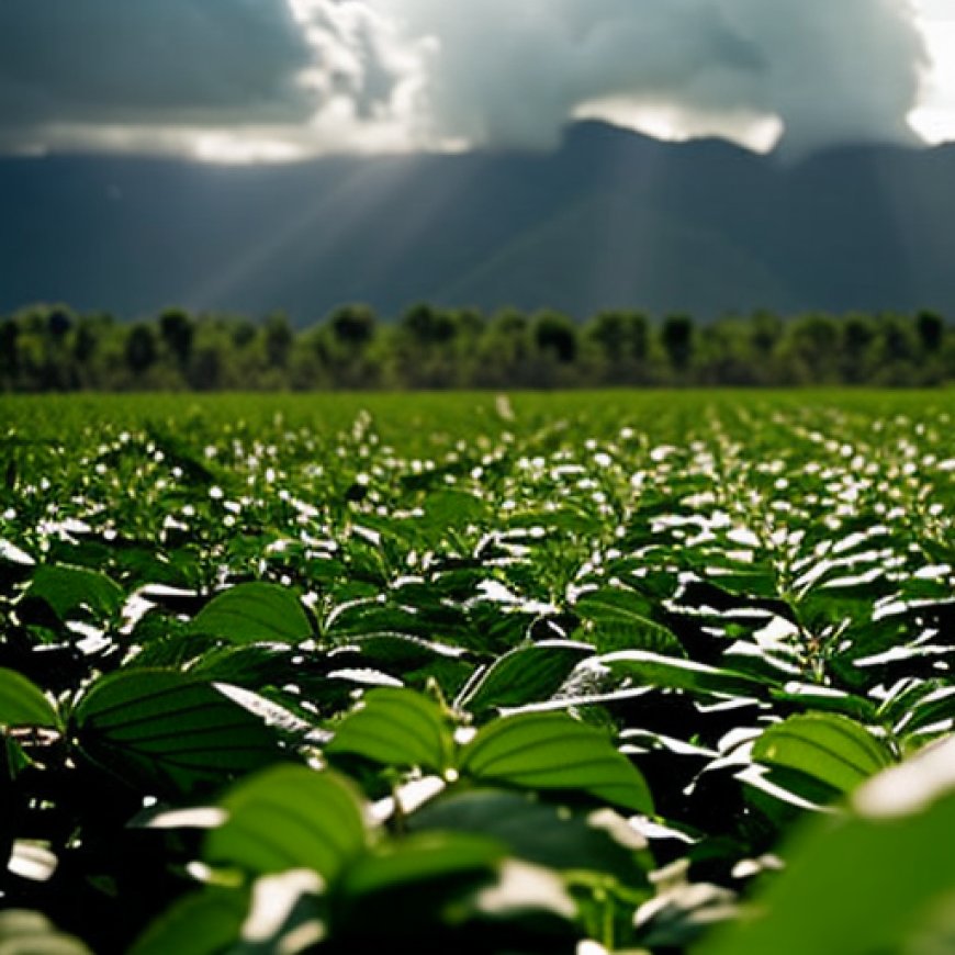USAID promueve agro negocios climáticamente inteligentes en zonas conflictivas de Colombia – Comunicación | Revista P&M