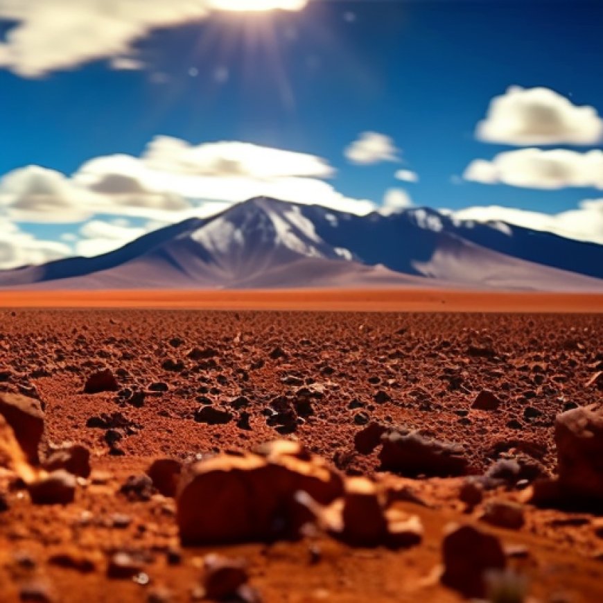 CDE PRESENTA CONSISTENTE PRUEBA DOCUMENTAL Y TESTIMONIAL SOBRE GRAVE DAÑO AMBIENTAL PROVOCADO POR SOCIEDADES MINERAS A ACUÍFERO DEL SALAR DE ATACAMA