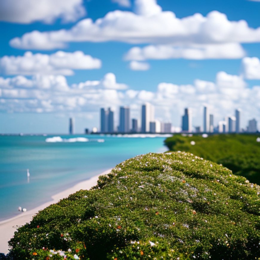 ¿Cuál es la temperatura promedio en Miami hoy?