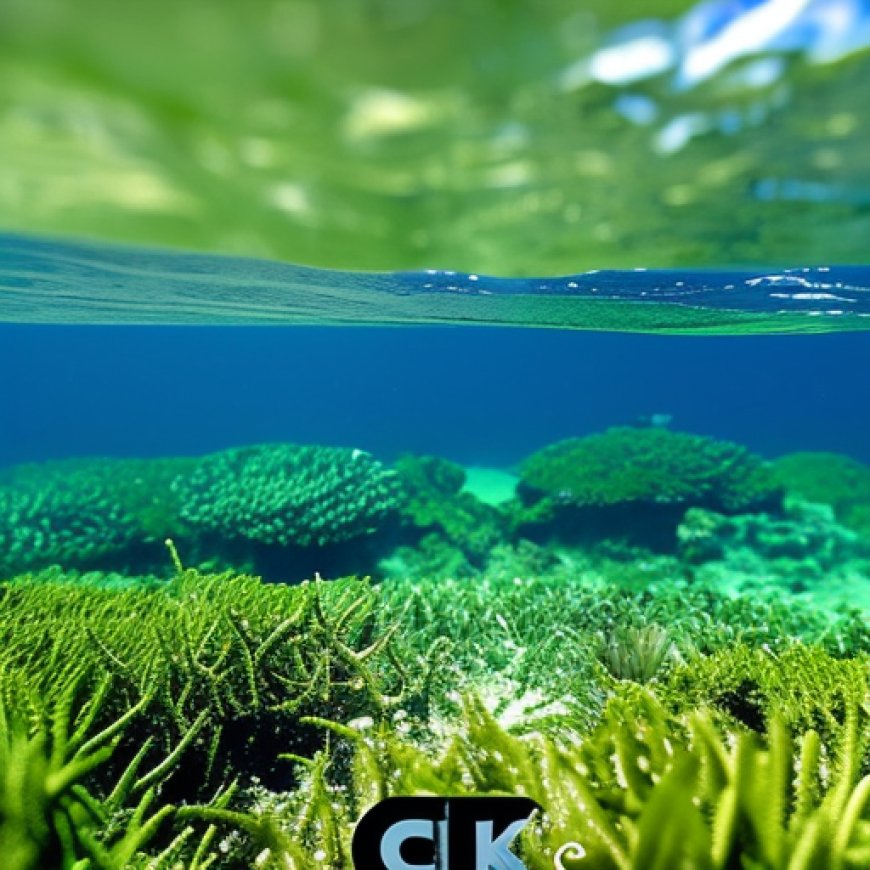 Sea & Shoreline and Coastal Conservation Association (CCA) Florida Collaborate on Seagrass Restoration Project in The Florida Keys.