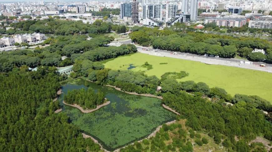 Safari de invierno: la atractiva propuesta de la Fundación Vida Silvestre para registrar la biodiversidad del país