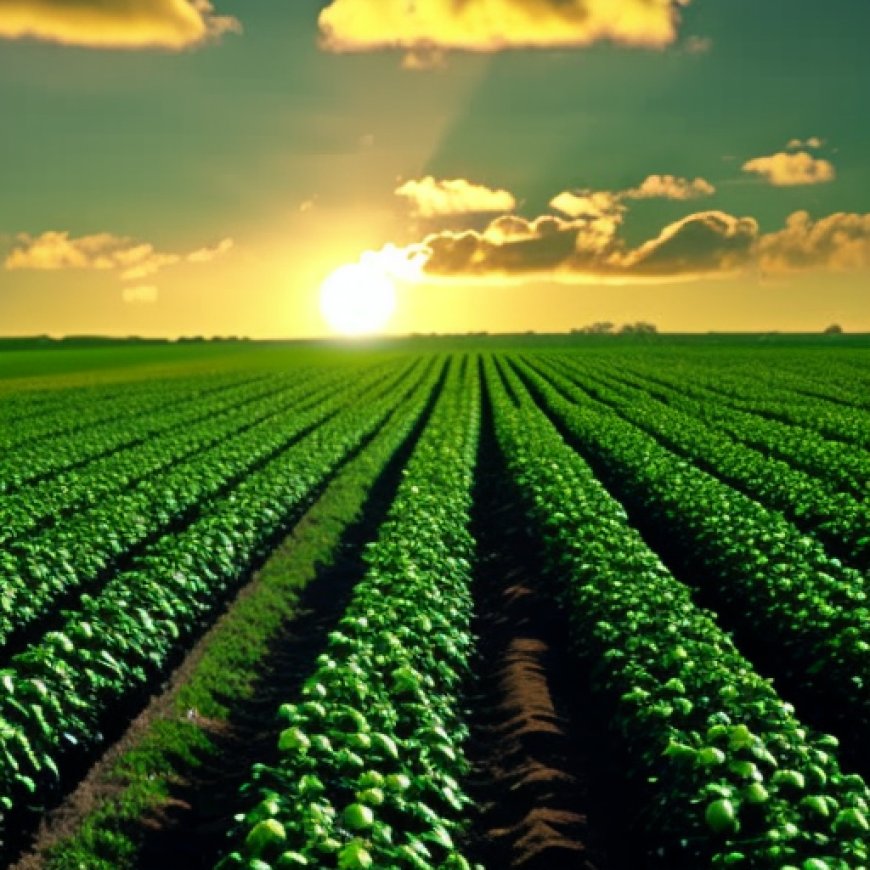 Agro-industrialization and Sustainability: Shaping the Future of Agriculture from the Ground Up