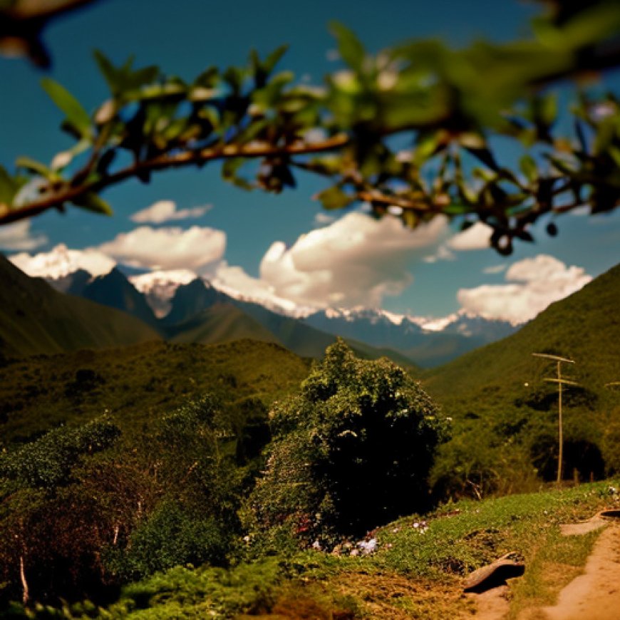 La lucha awajún para proteger uno de los bosques con mayor biodiversidad de Perú
