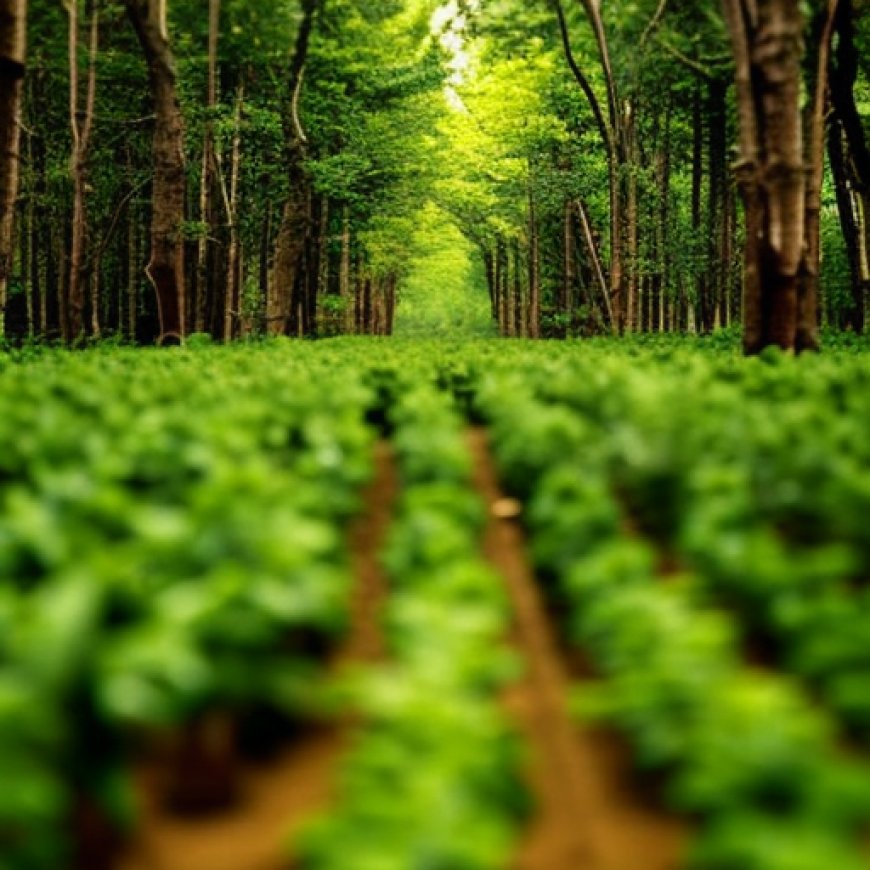 Fruticultura y monocultivo forestal, la histórica trashumancia y los brotes agroecológicos – Agencia de Noticias Tierra Viva