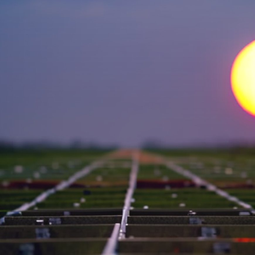 La Jornada: EU impone aranceles a la importación de paneles solares