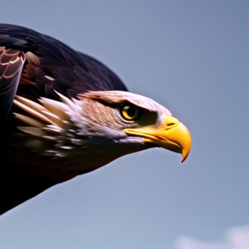What Role in the Food Web Does the Eagle Play – J Station X