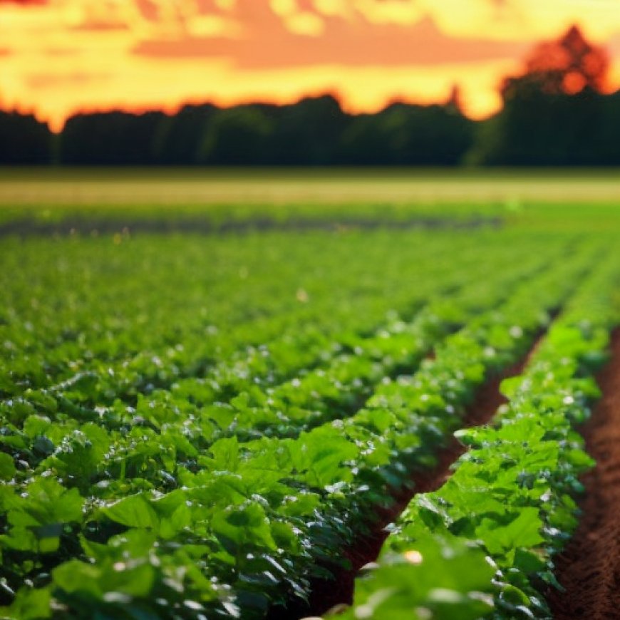 UW Organic Agriculture Field Day is Aug. 31