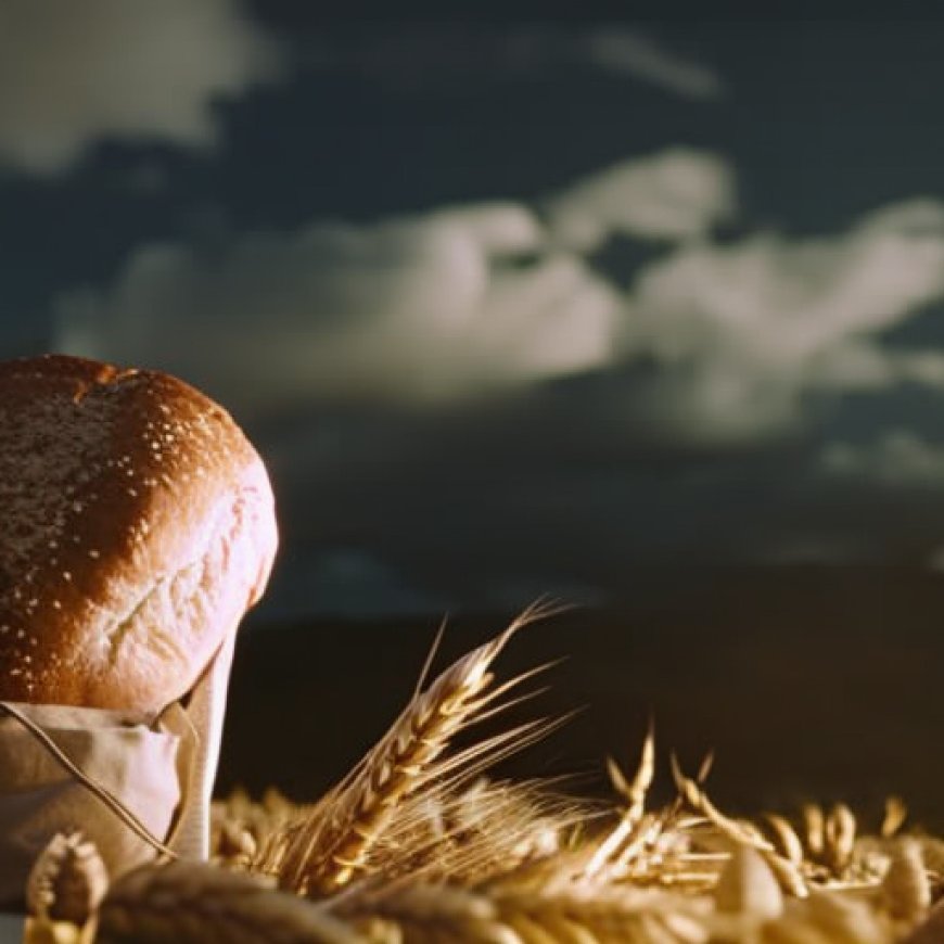 Getting the bread: What’s the environmental impact of wheat?