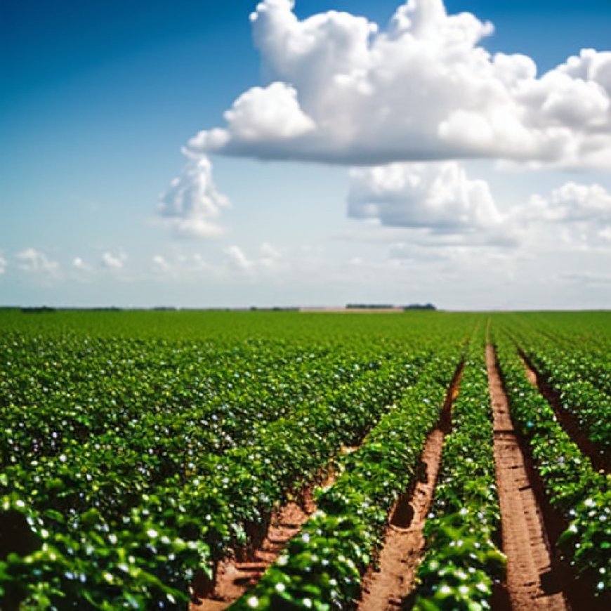 Brasil ayudará a desarrollar la agricultura en Angola