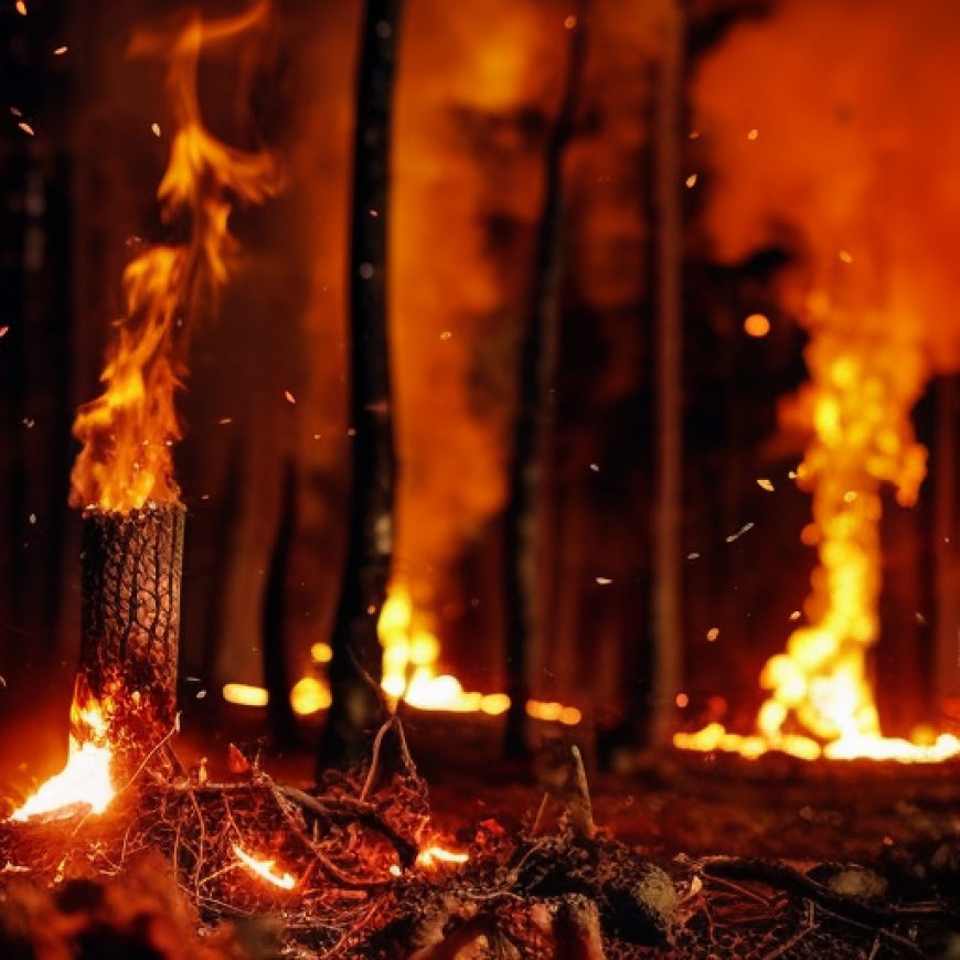 Incendio forestal en Azuay consume 300 hectáreas de bosque