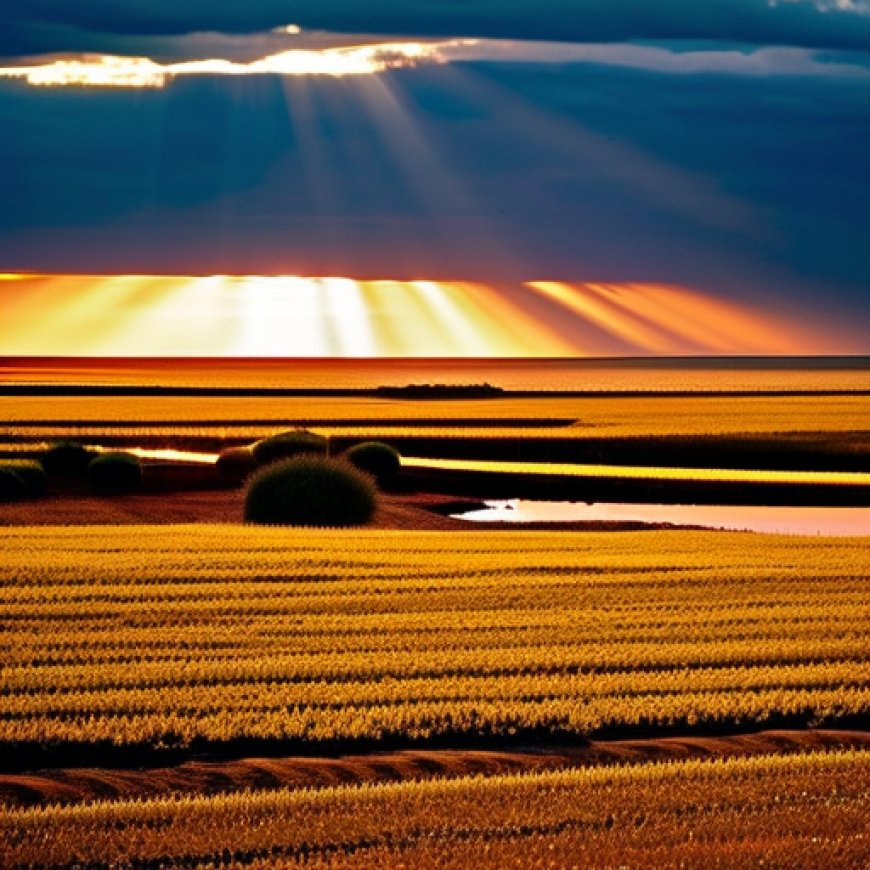 Doñana, Patrimonio de la Humanidad en Peligro: La pérdida de biodiversidad y la sobreexplotación del acuífero amenazan a uno de los espacios naturales más importantes de España