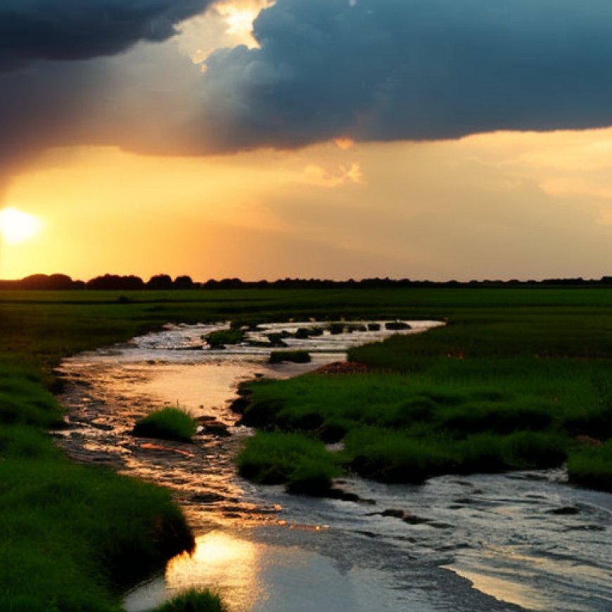 Sewage Release Is Worse for Rivers Than Agricultural Runoff, Study Finds – EcoWatch