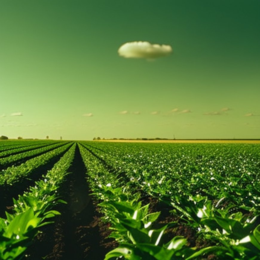 BASF y VEGGA unen fuerzas para potenciar la agricultura digital, sostenible y de precisión