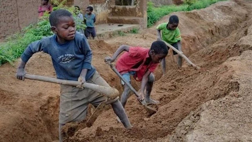Protect the future, eliminate child labour