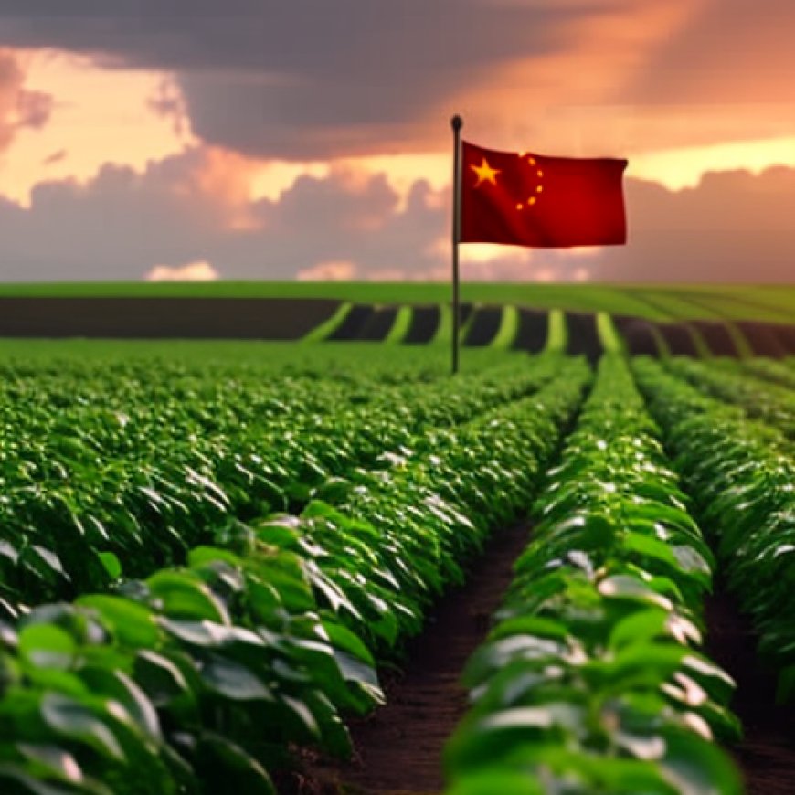 Buying US farmland not part of China agriculture plan, panel told