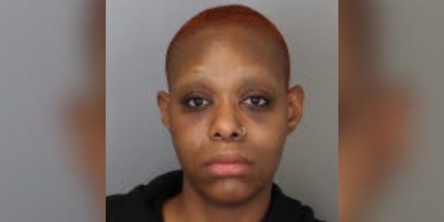 Drunken woman drops baby several times, charged with child abuse, police say
