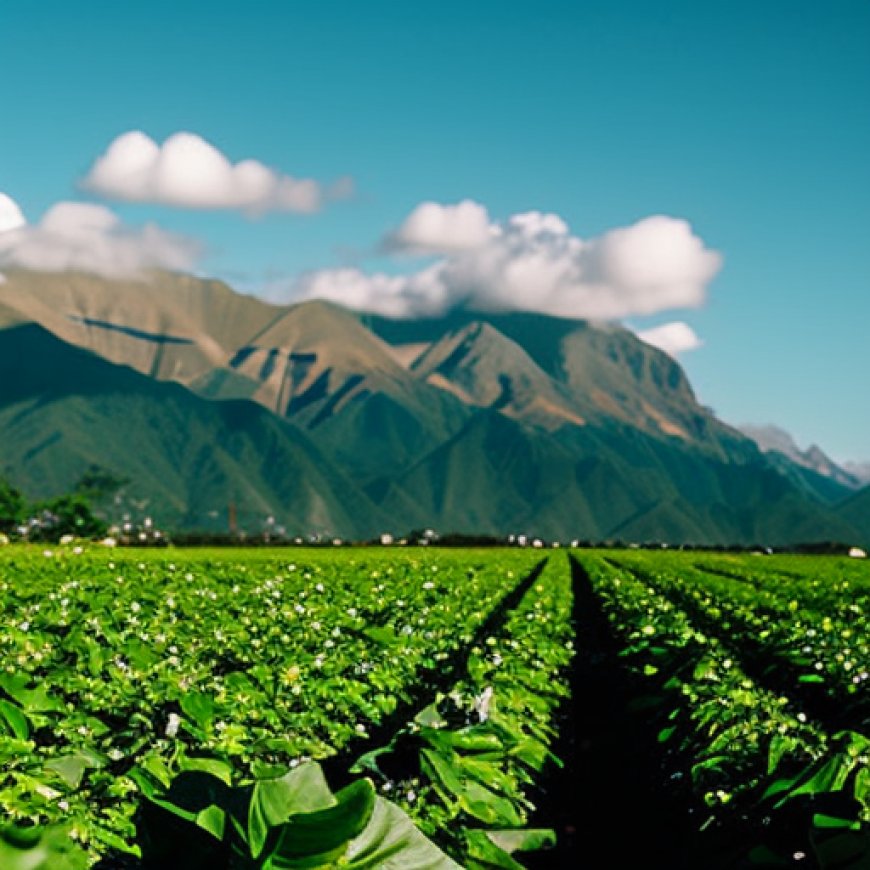 Genética: la clave del desarrollo agrícola | Más Colombia