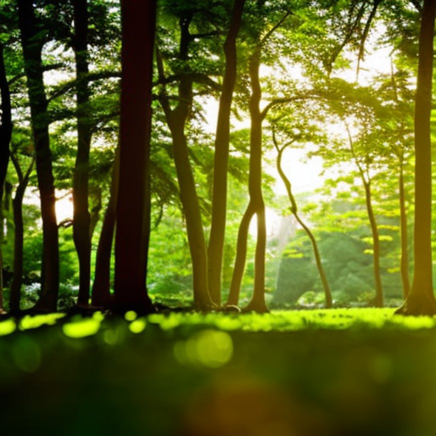 El bosque-jardín de la Fonte Baxa, el deseo de un marqués a orillas del Cantábrico