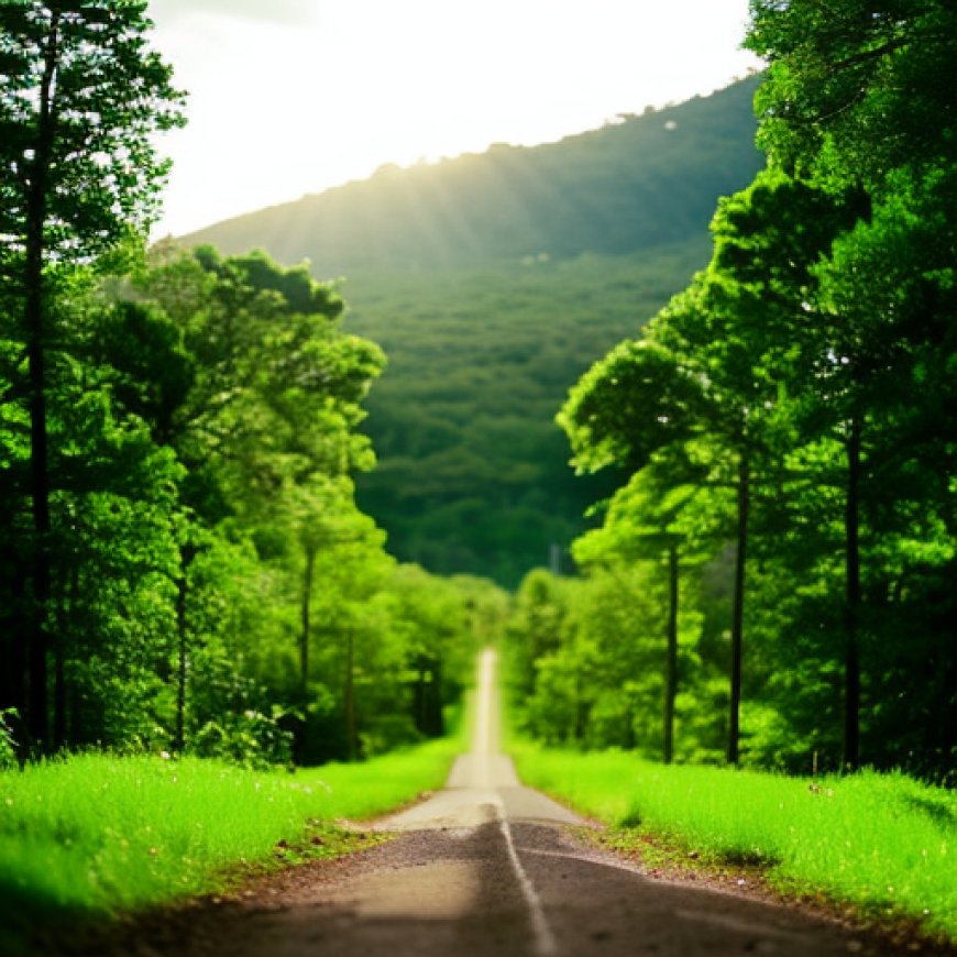 El municipio de Torga (Ibias-Asturias) albergará el segundo bosque Santander a través del proyecto Motor Verde