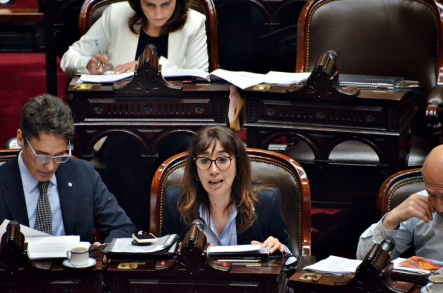 Protocolo Contra Abuso Sexual Infantil: Diputados dio media sanción a la ley