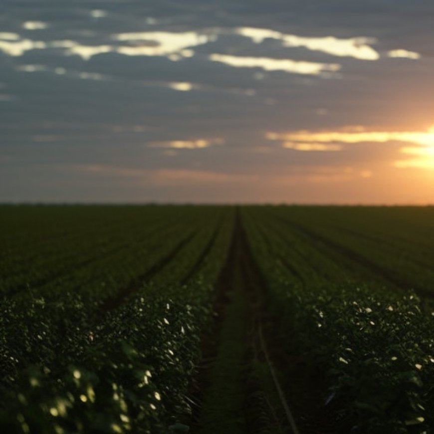 Wayne County’s loss of prime farmland is concerning -here’s what farmers can do