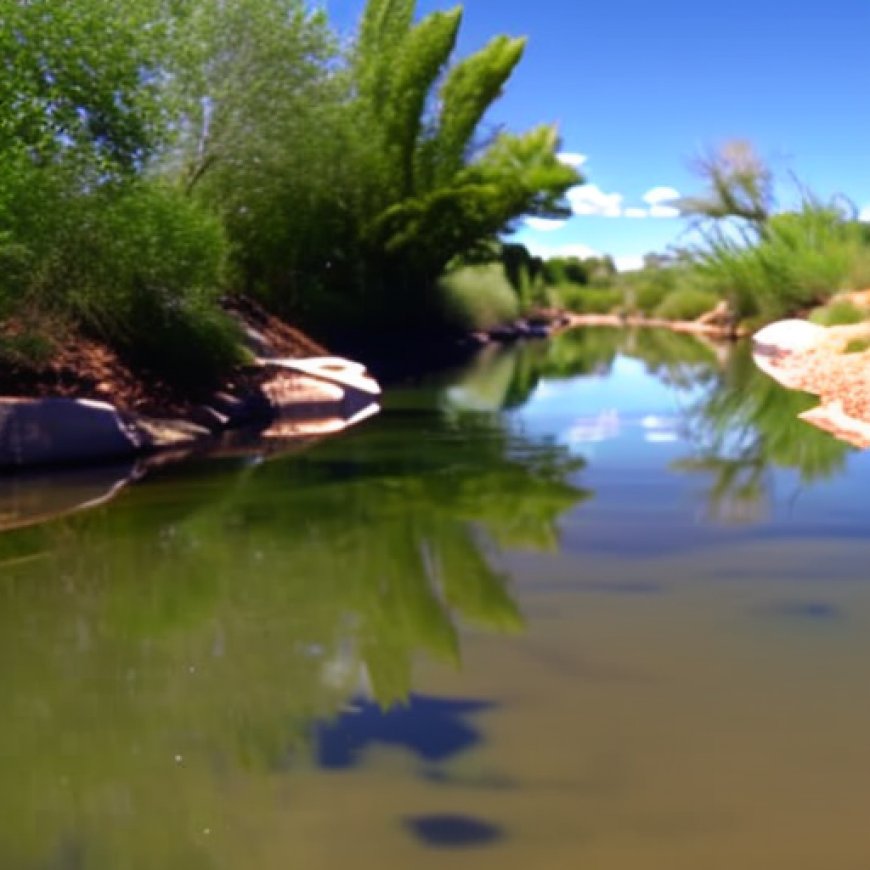 Arizona Water Authority Must Reduce Groundwater Use To Protect San Pedro River Conservation