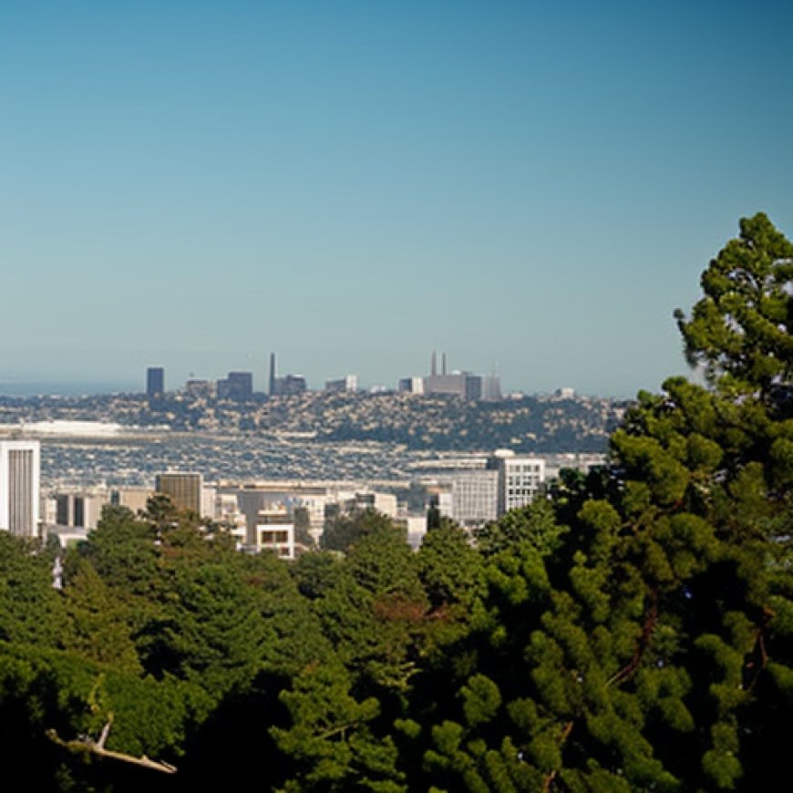 How should Oakland tend its urban forest?
