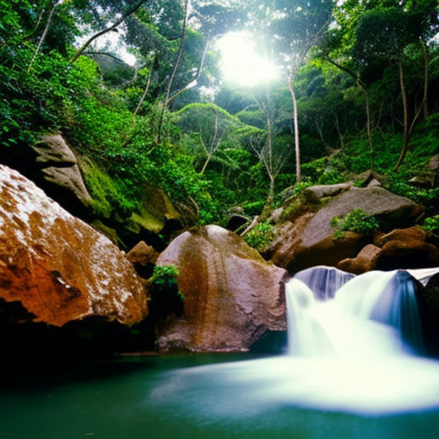 Diversidad biológica y su conservación en el Parque Nacional Pico Cristal – Periódico Sierra Maestra