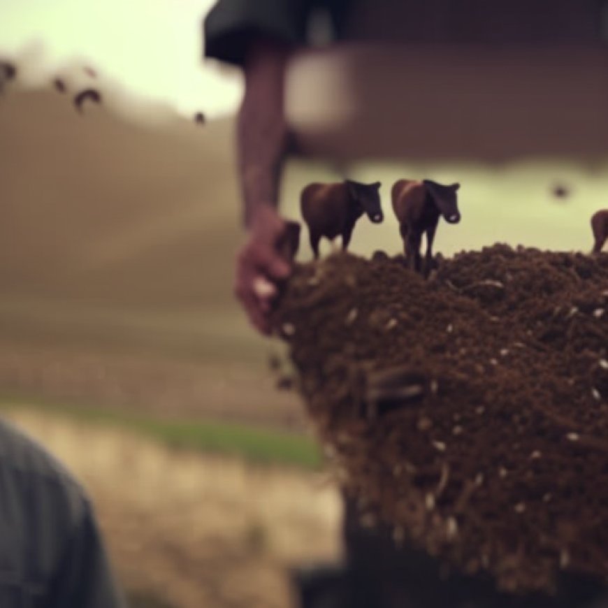 How Dairy Farmers Are Turning Manure