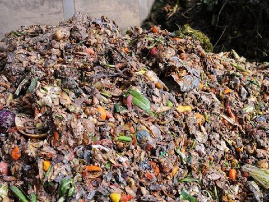 Leading food companies sent 1.3 million tonnes of food to landfill and anaerobic digestion