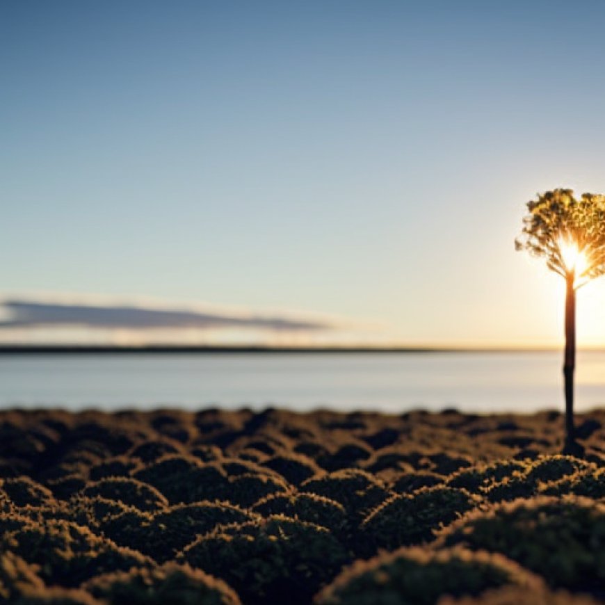 Annual ag-focused calendar celebrates farming, land and sea through the seasons – UMaine News – University of Maine