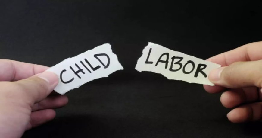 Florida bill allowing parents to waive some child labor laws passes legislature