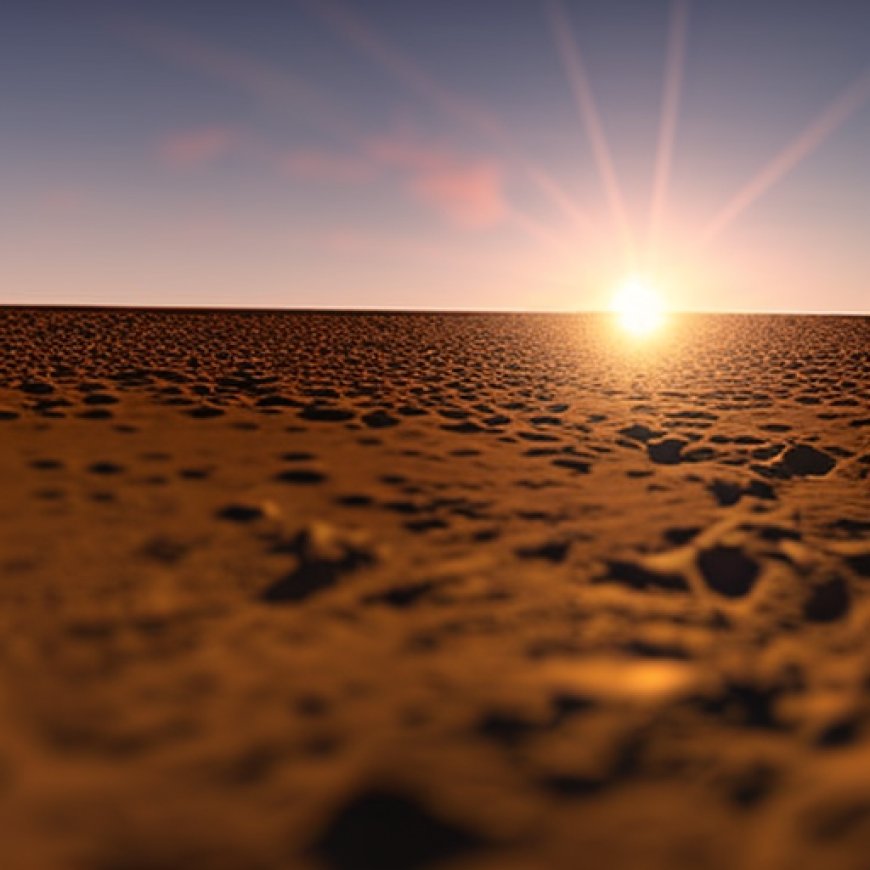 The Desert Sun