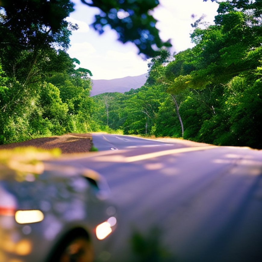 San José del Guaviare, sede de la Mesa Regional de Acaparamiento de Tierras como motor de la deforestación