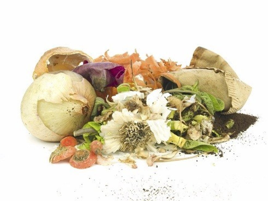 Maine legislature passes food waste reduction bill that would boost anaerobic digestion | Biomass Magazine