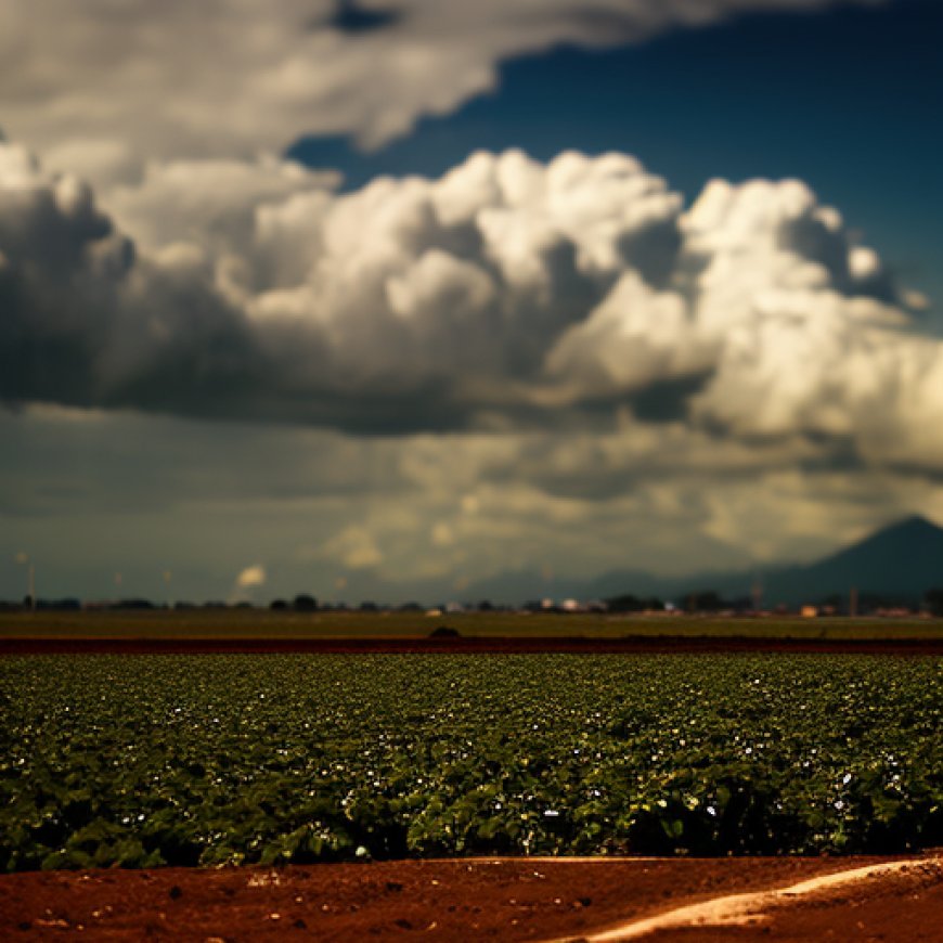Una Visión Optimista para el Sector Agropecuario de Panamá y sus Soluciones”