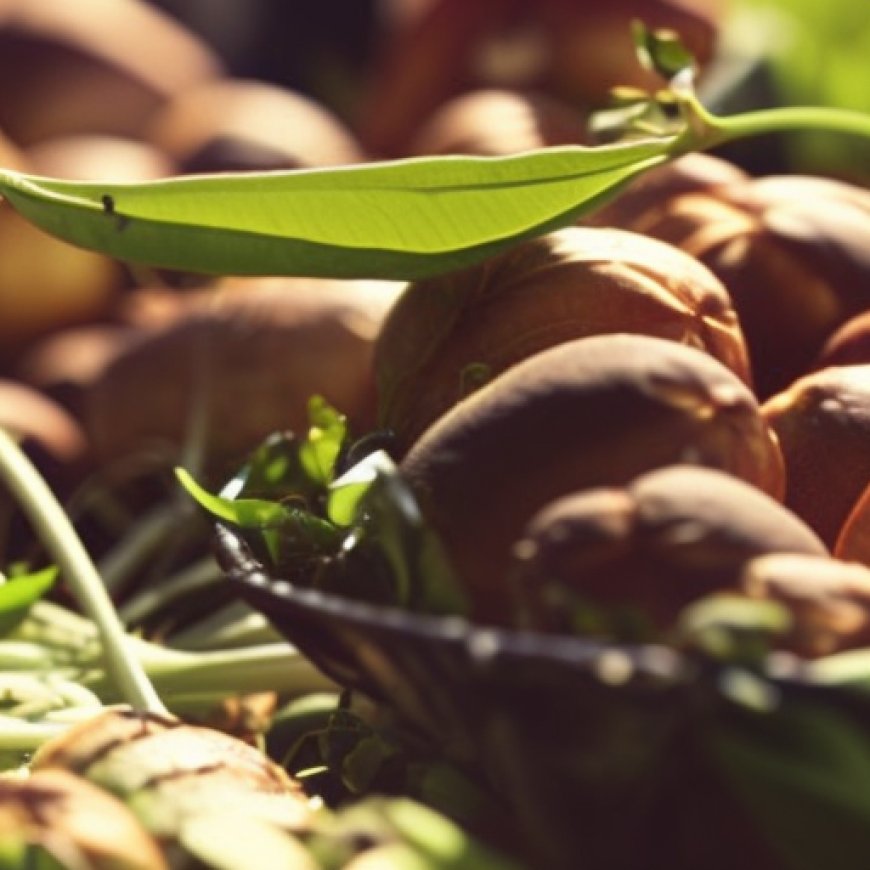VeryAgro, la startup murciana que ha revolucionado la gestión de compras agrícolas