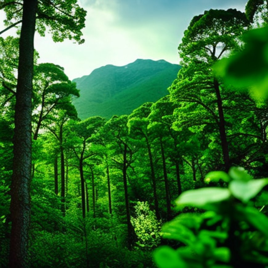 Sembrar “brotes verdes”: ¿cómo pueden los inversores reducir la deforestación?