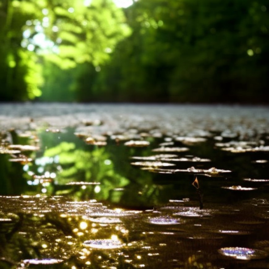 Conseguir agua dulce es una tarea difícil en medio de la sequía y el calor